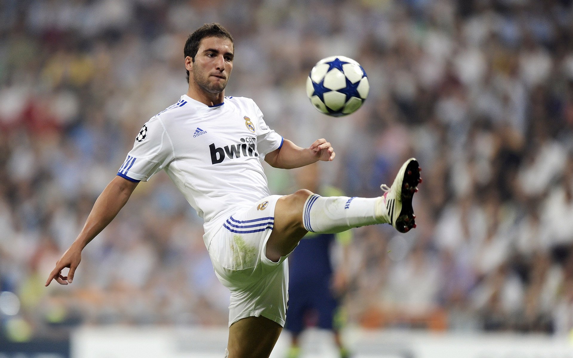 kaiyun入口-绿茵绝唱，当梅西重伤倒地，武磊率全队围拢祈祷，那一刻足球超越了胜负，绿茵绝唱，梅西重伤，武磊率队祈祷，足球超越胜负